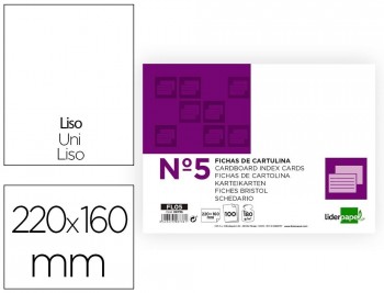 PAQ 100 FICHAS LIDERPAPEL 160X220MM LISO